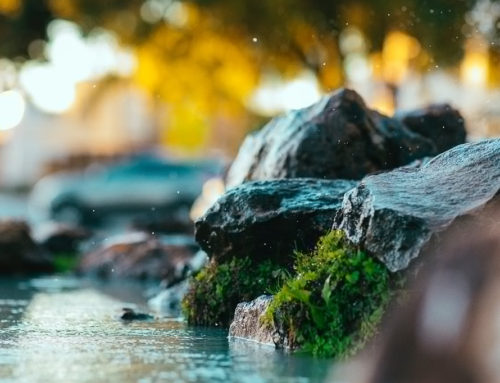 Your Biggest Barrier to Success